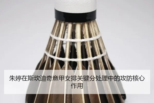 zhu-ting-zai-si-kan-di-qi-yi-jia-nv-pai-guan-jian-fen-chu-li-zhong-de-gong-fang-he-xin-zuo-yong-2-268.jpg