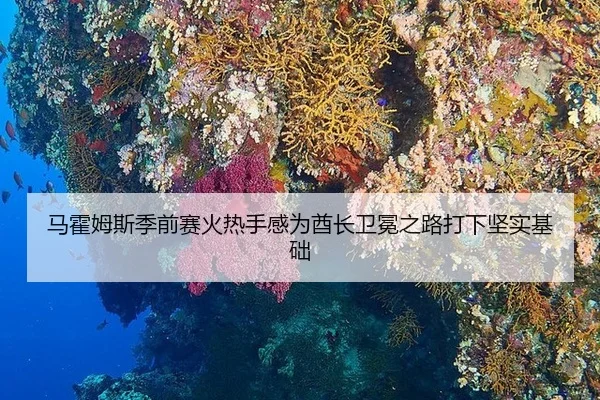 ma-huo-mu-si-ji-qian-sai-huo-re-shou-gan-wei-qiu-zhang-wei-mian-zhi-lu-da-xia-jian-shi-ji-chu-2-123.jpg