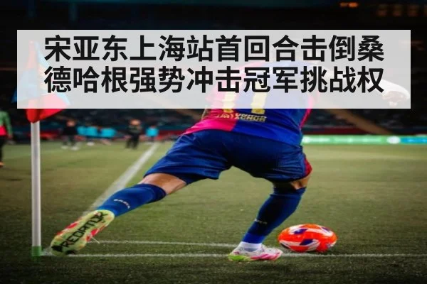 宋亚东上海站首回合击倒桑德哈根强势冲击冠军挑战权