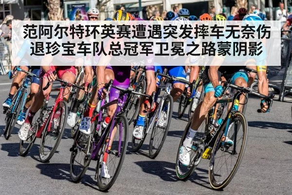 范阿尔特环英赛遭遇突发摔车无奈伤退珍宝车队总冠军卫冕之路蒙阴影